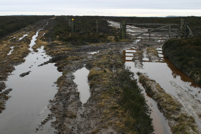 File:Track on Foster Howes - geograph.org.uk - 109351.jpg