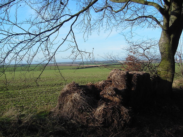 File:View towards airport runway - geograph.org.uk - 312308.jpg