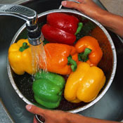Washing peppers.jpg