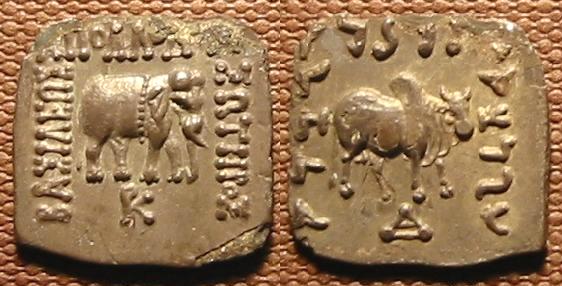 Indian-standard coin of Apollodotus I. Obv: Sacred elephant with decorative belt and Greek legend ΒΑΣΙΛΕΩΣ ΑΠΟΛΛΟΔΟΤΟΥ ΣΩΤΗΡΟΣ, "of Saviour King Apollodotus". Rev: Zebu bull with Kharoshti legend 𐨨𐨱𐨪𐨗𐨯 𐨀𐨤𐨫𐨡𐨟𐨯 𐨟𐨿𐨪𐨟𐨪𐨯 (MAHARAJASA APALADATASA TRATARASA),[6] "Saviour King Apollodotus". Actual size: 15 mm, 1.4 grams.