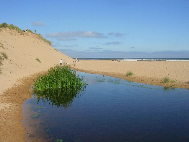 File:Balmedie Beach - geograph.org.uk - 93998.jpg