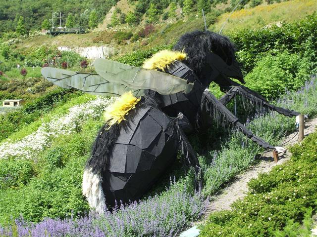 File:Bee, The Eden Project - geograph.org.uk - 462746.jpg