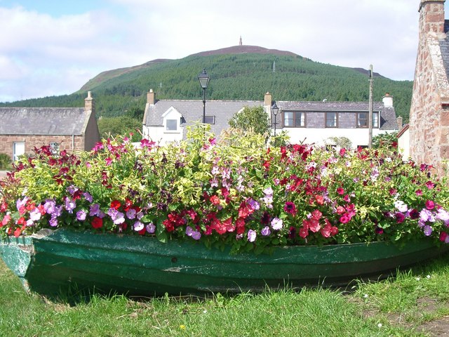 Ben Bhraggie, Golspie - geograph.org.uk - 566776