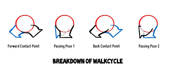 walk cycle