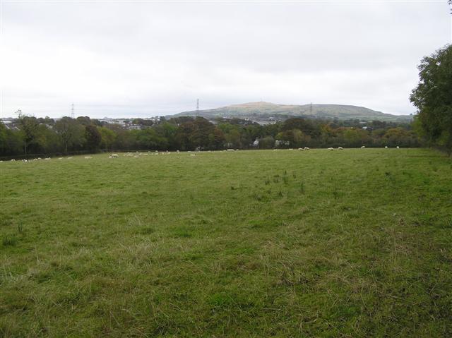 File:Cotton Mount - geograph.org.uk - 1536257.jpg