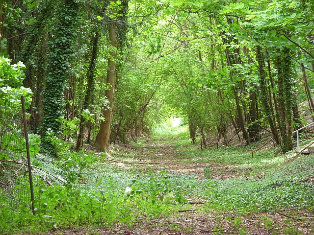 File:Dismantled railway, Apsley - geograph.org.uk - 427464.jpg