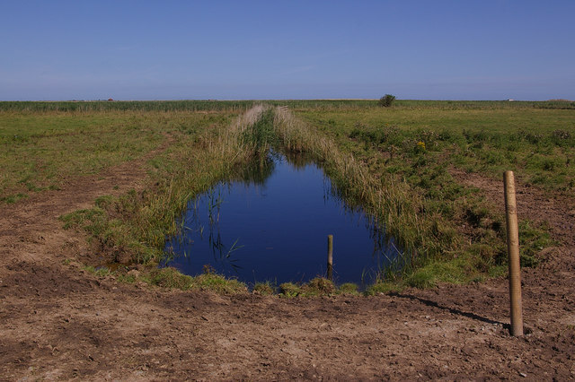 File:Drainage ditch, Cley Marshes - geograph.org.uk - 1062780.jpg