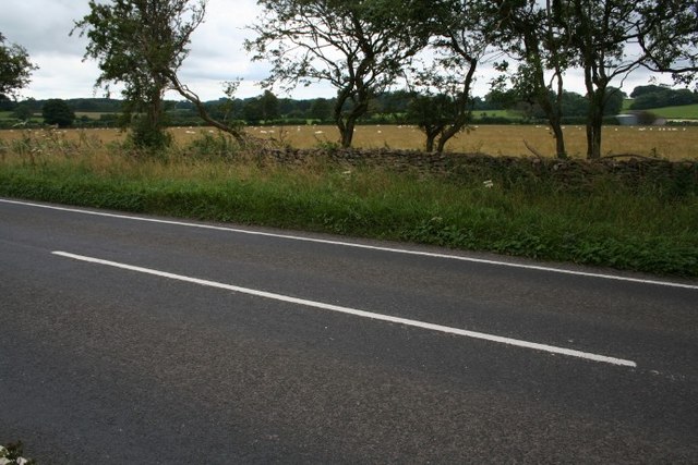 File:Dry stone wall by a road - geograph.org.uk - 501798.jpg