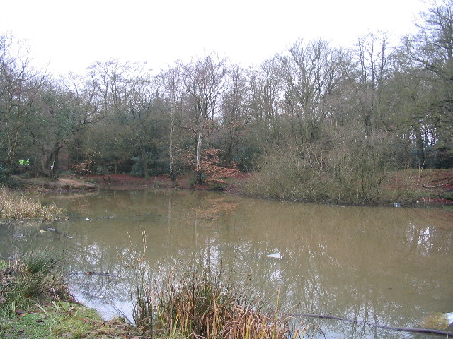 Earl's Path Pond - geograph.org.uk - 99315