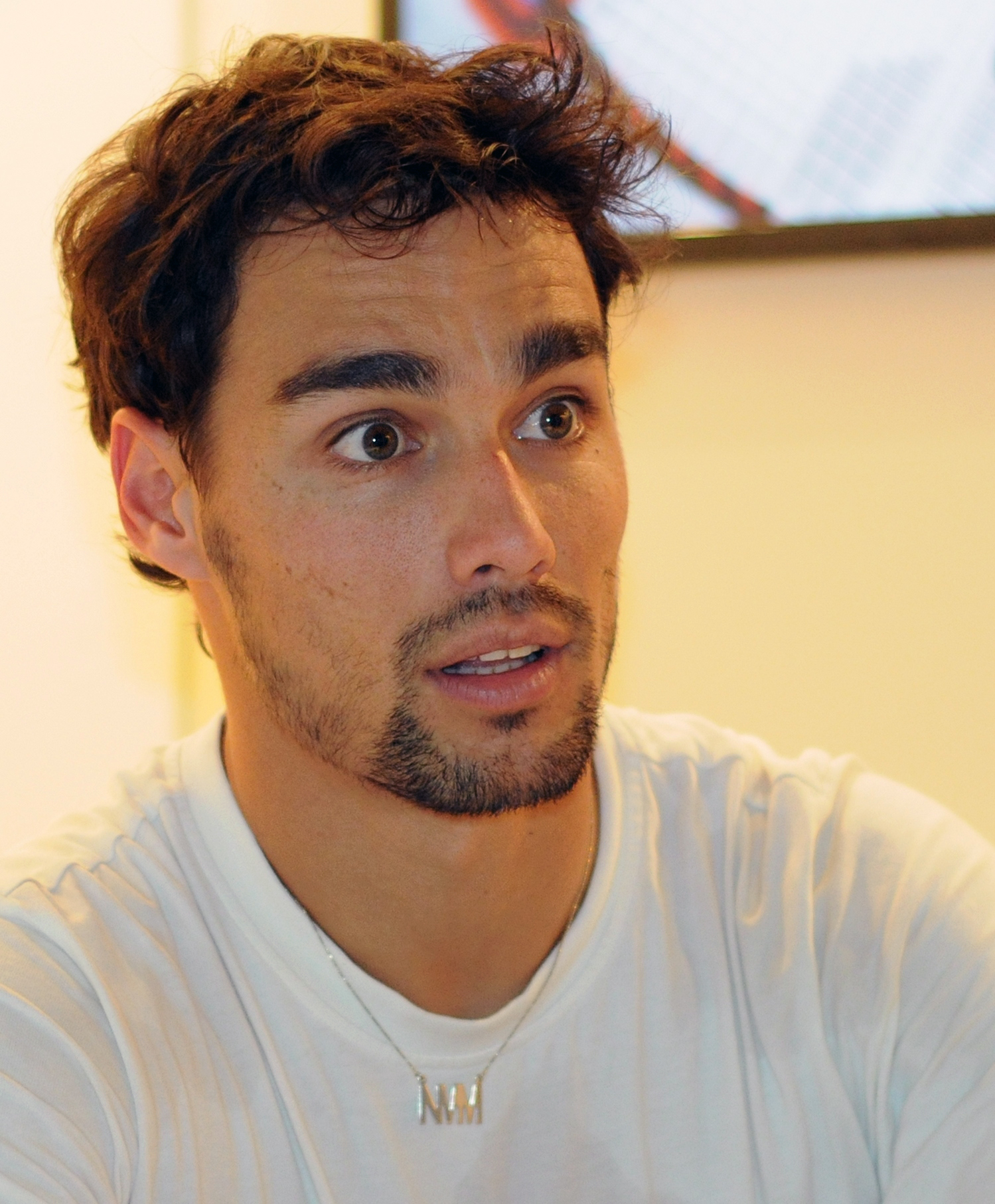 Fabio Fognini Wikipedia