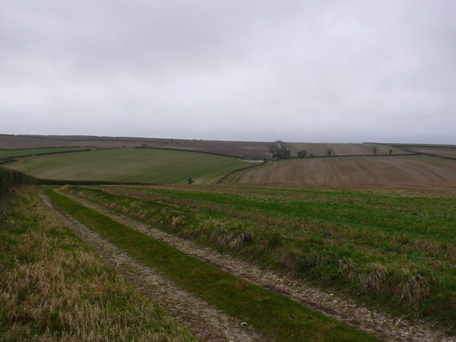 File:Farm track leading to The Bungalow near Cheselbourne - geograph.org.uk - 663314.jpg