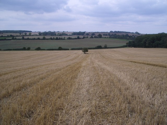 File:Field and View South-west of Stoke Wood - geograph.org.uk - 551333.jpg