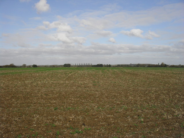 File:Field at Shifford - geograph.org.uk - 1569558.jpg