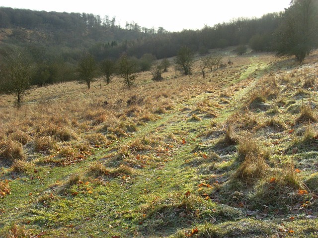 Grassland near Christmas Common - geograph.org.uk - 682228