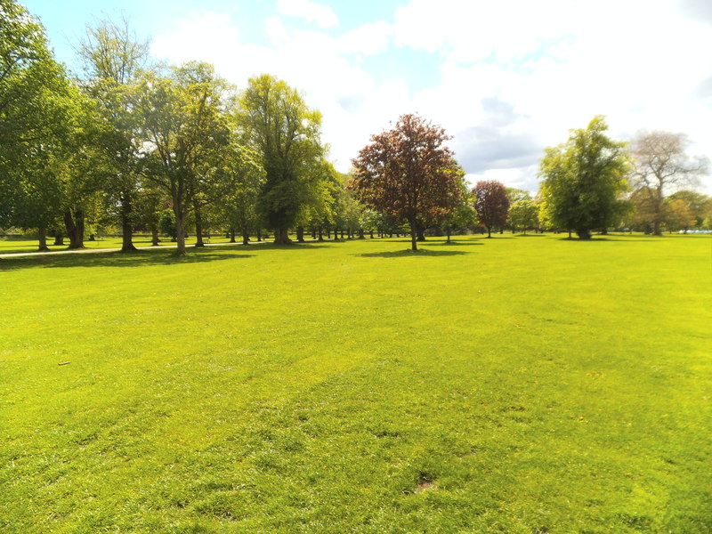 Himley Park - geograph.org.uk - 3473104