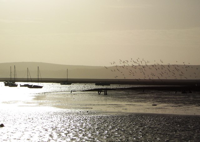 File:Keyhaven winter sunshine.jpg