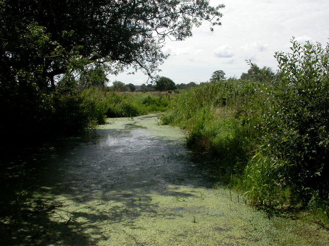 File:Longham, pool - geograph.org.uk - 1422130.jpg