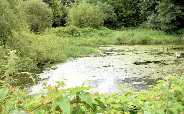 File:Old mill pond, Comber - July 2014(2) - geograph.org.uk - 4095201.jpg