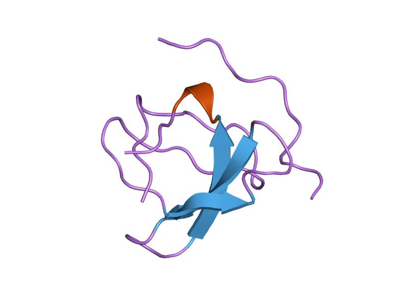 File:PDB 1qwf EBI.jpg