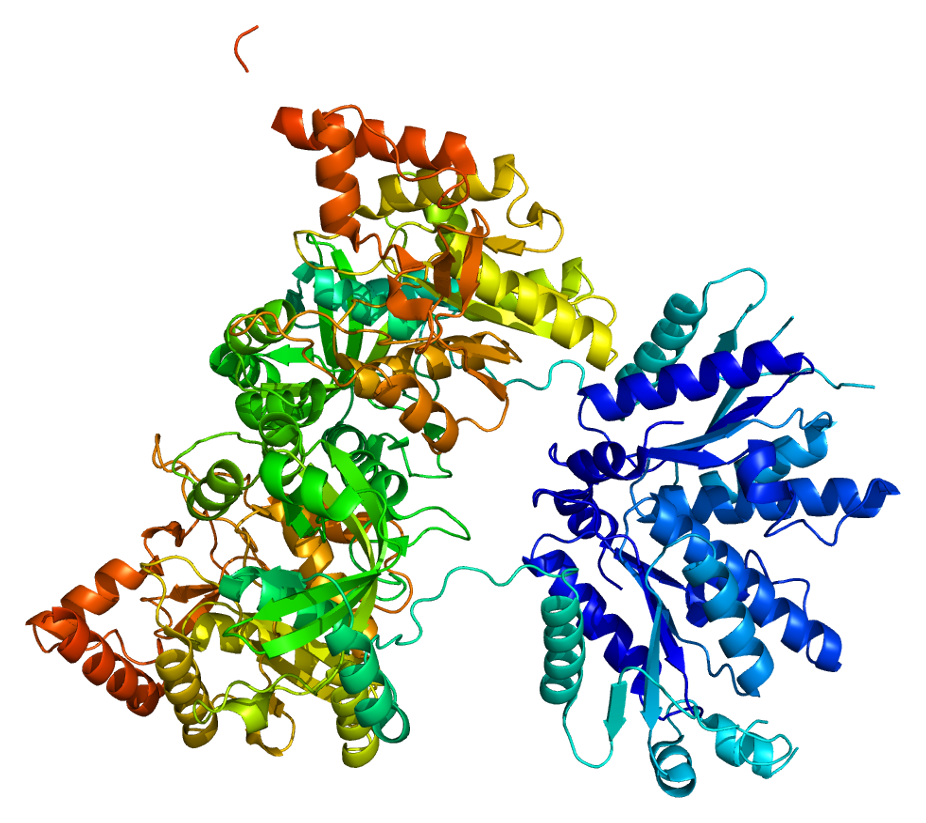 Белок 3д модель. Ген белок. 3д структура белка. Моделирование белков.