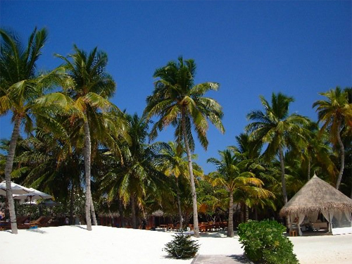 File:Rangalifinolhu maldives.jpg