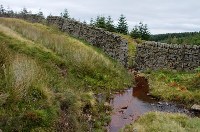 File:Reahope Burn - geograph.org.uk - 550461.jpg