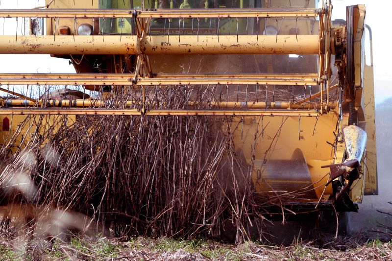 File:Sperry New Holland 8050 header.jpg