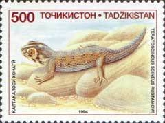 File:Stamp of Tajikistan - 1995 - Colnect 290014 - Common Wonder Gecko Teratoscincus scincus.jpeg