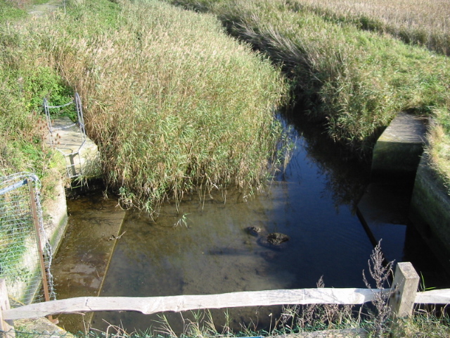 File:The River Lavant at the sluice gate before entering Fishbourne Channel - geograph.org.uk - 1021704.jpg