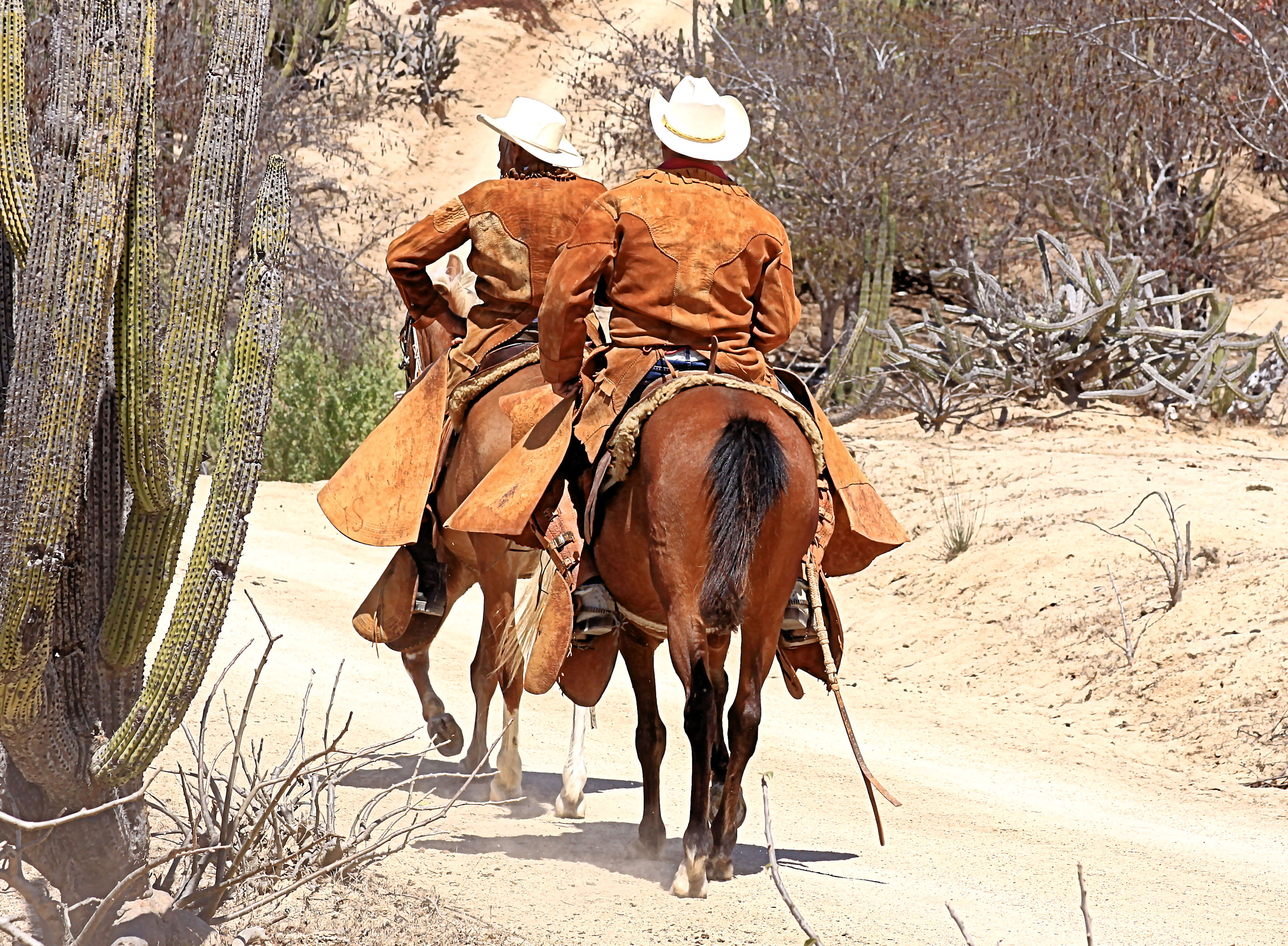 Tiempos de infanteria roberto vaquero