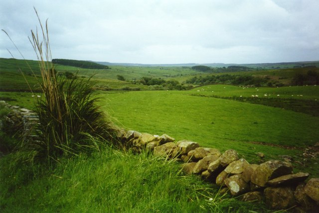 File:View near Dranigower - geograph.org.uk - 633236.jpg