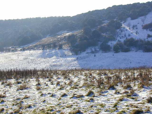 Oxenbourne Down, Clanfield