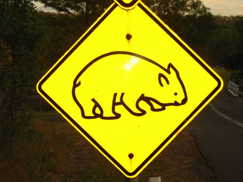 File:Wombat Crossing sign.jpg