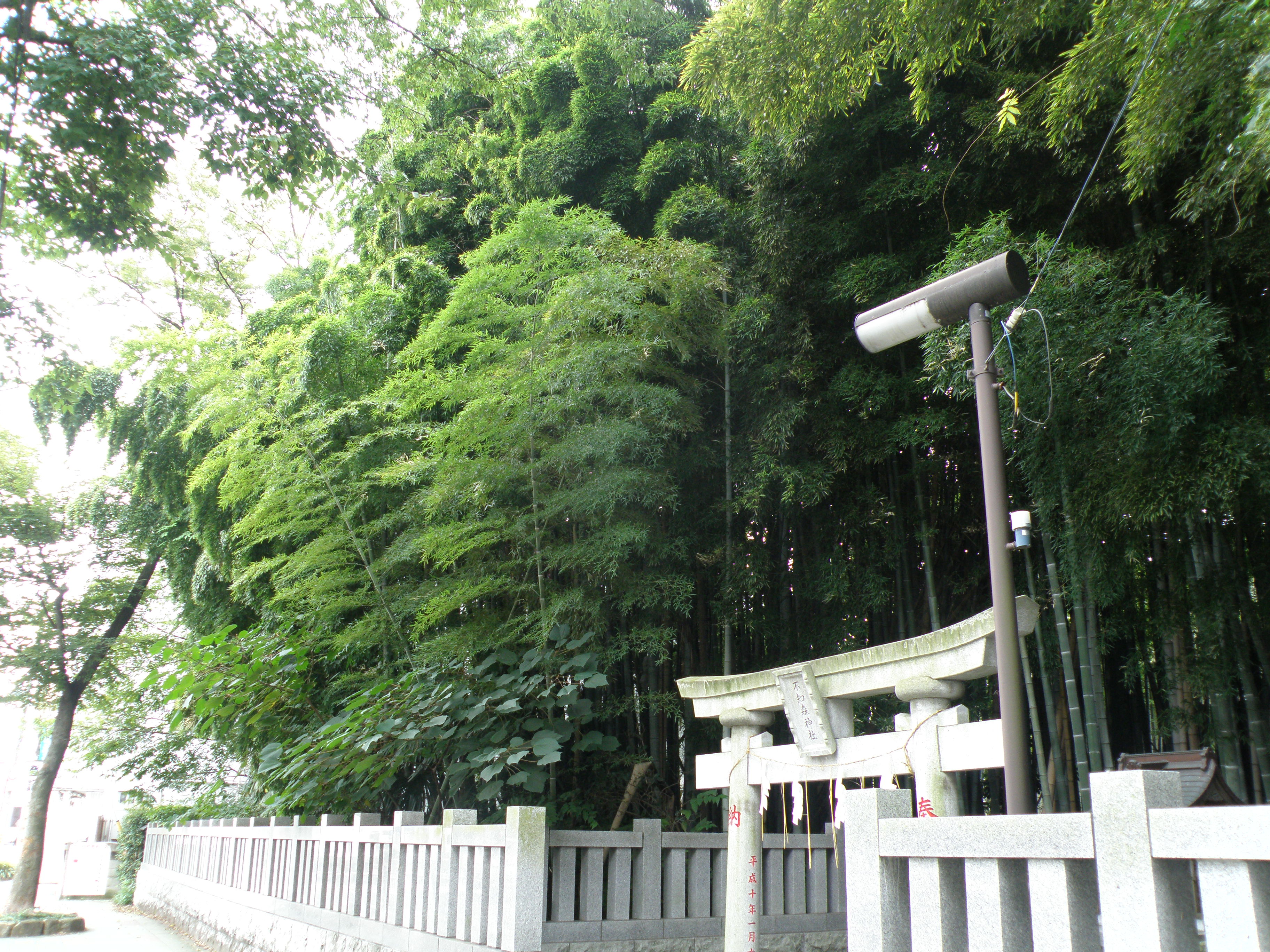 File 八幡の藪知らず Panoramio Jpg Wikimedia Commons