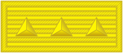 File:18陆军特级上将.png