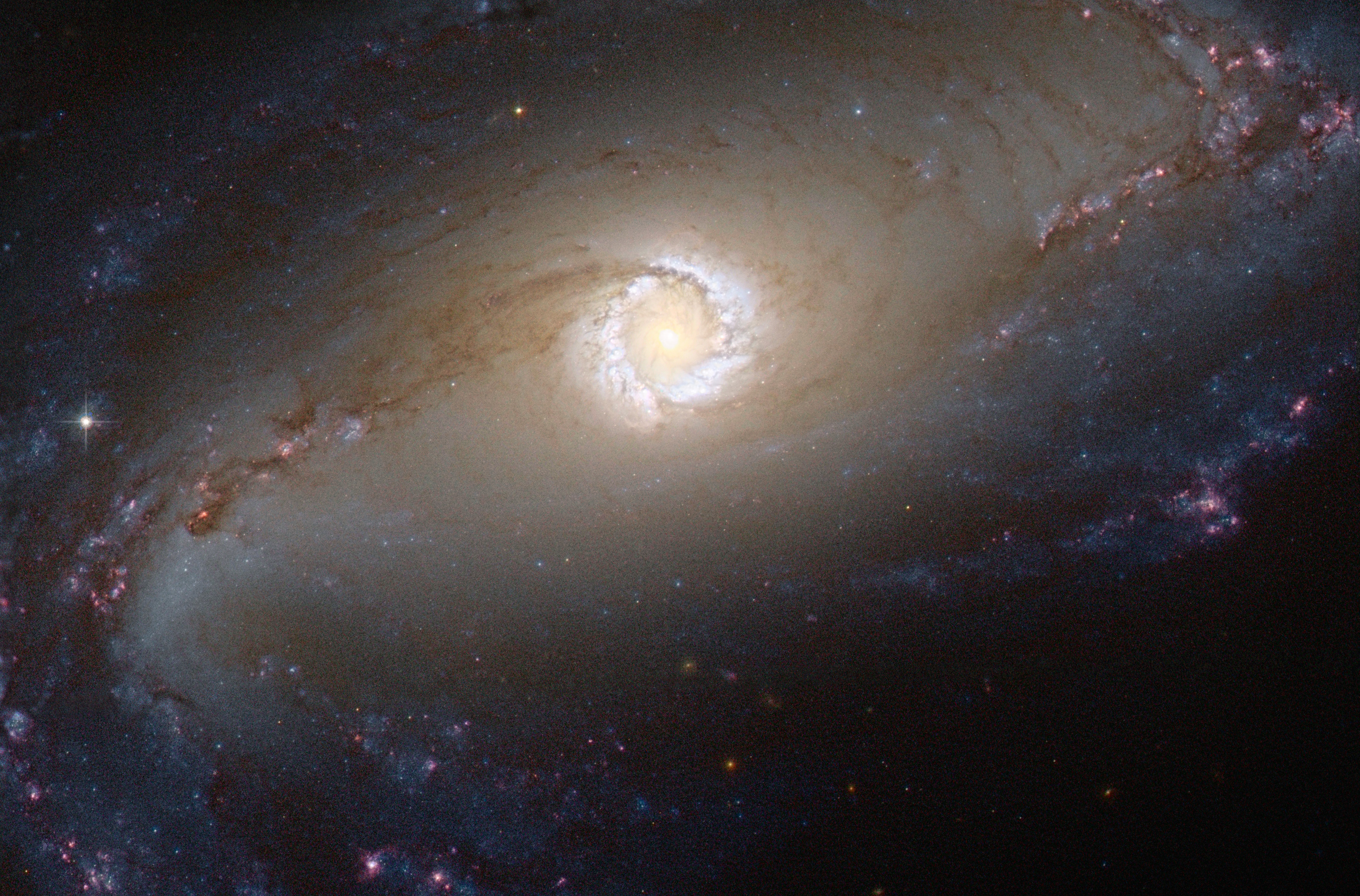 galaxie de Seyfert