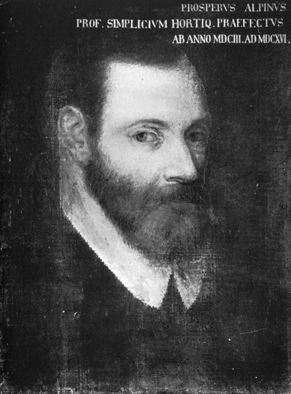 Prospero Alpini (1553–1617)