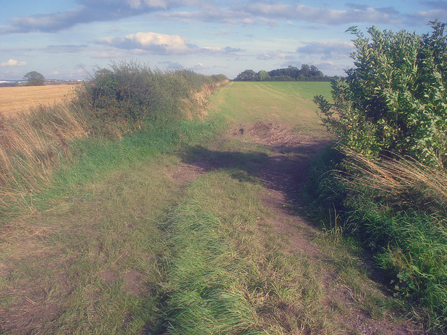 File:Arable land east of Normanton le Heath - geograph.org.uk - 1499192.jpg