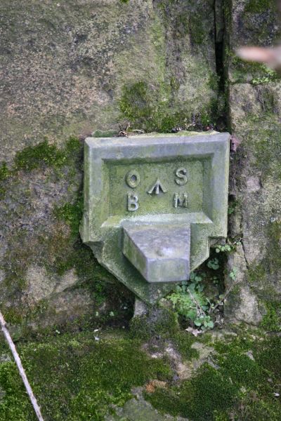 File:Bench Mark on the bridge - geograph.org.uk - 1188268.jpg