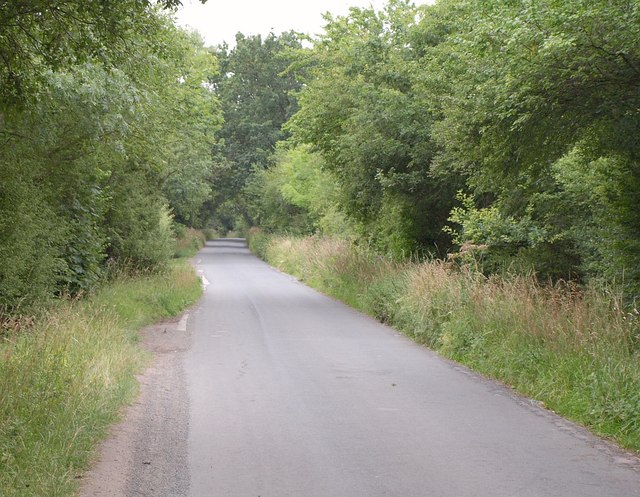 File:Bilton Hall Drive - geograph.org.uk - 2568293.jpg