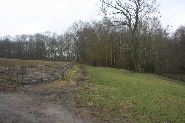 File:Bridleway near Crippenden Manor - geograph.org.uk - 1709024.jpg