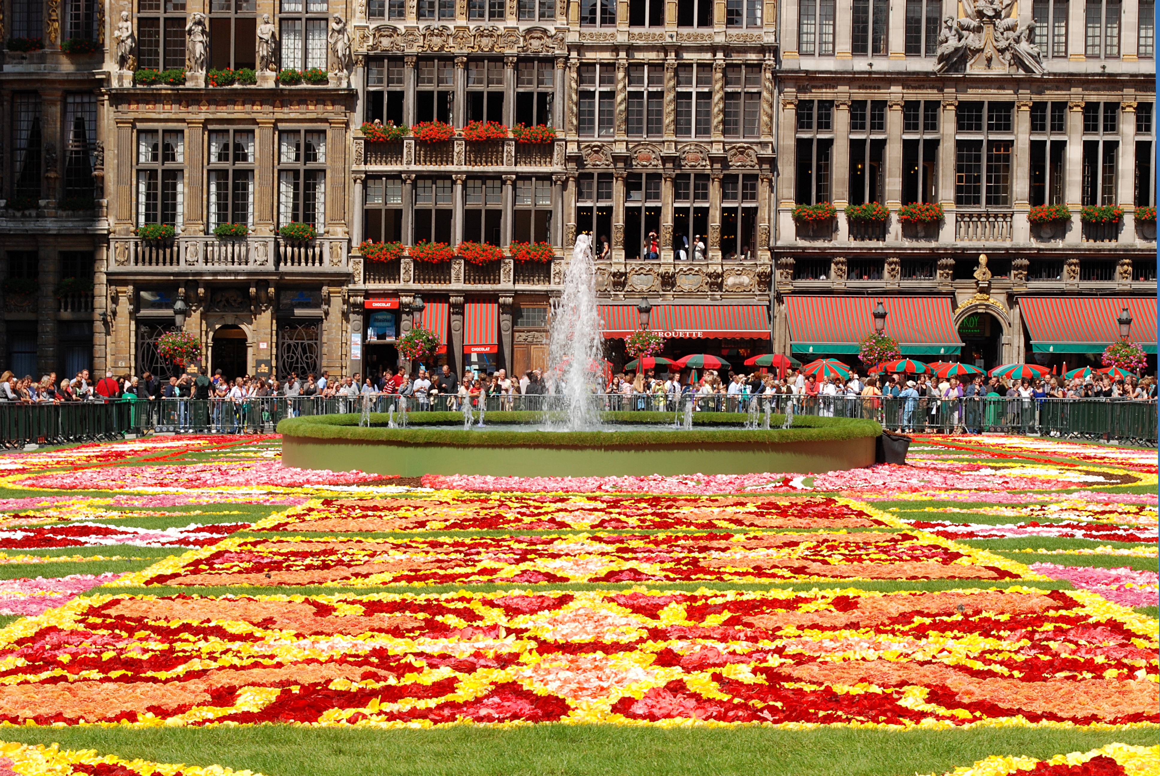 Fleurs Bruxelles