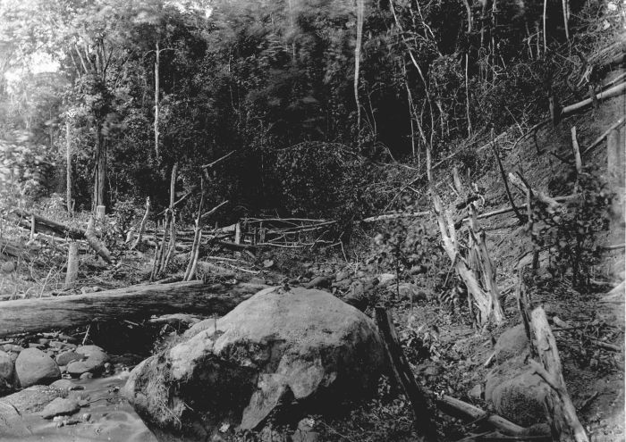 File:COLLECTIE TROPENMUSEUM De Wai-Toeba rivier boven de ontginning cultuuronderneming Kedongdong of Way Lima Lampongse Districten Zuid-Sumatra. TMnr 60013383.jpg