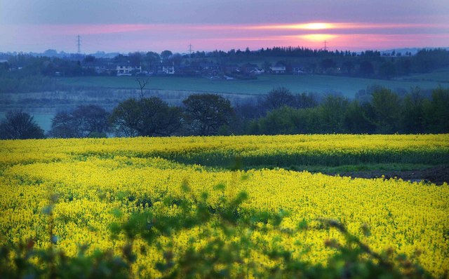 Little Houghton, South Yorkshire