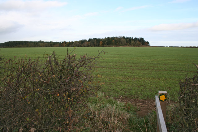 File:Farmland near Coston - geograph.org.uk - 74540.jpg