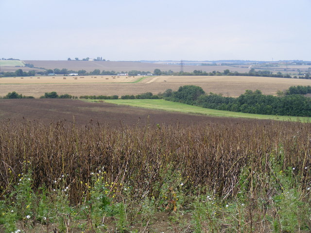 File:Field NW of Brampton Wood - geograph.org.uk - 539534.jpg