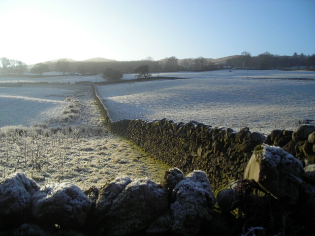 File:Fields and Wall Near Birkbush - geograph.org.uk - 638424.jpg