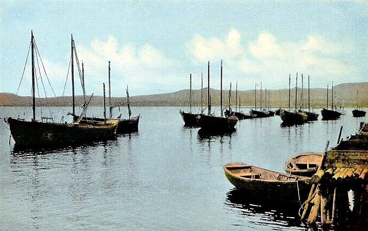 File:Fishing Fleet at Barachois.jpg