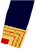 Teniente general