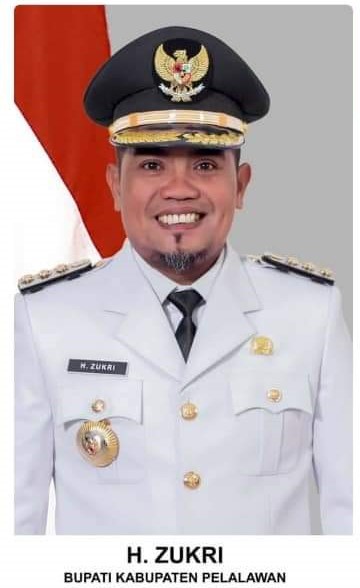 Haji Zukri, Bupati Kabupaten Pelalawan